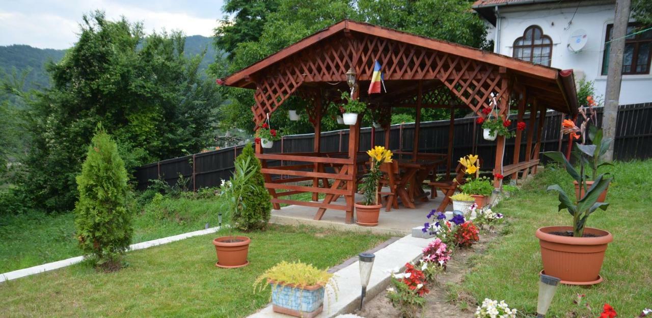 Bogdan si Raluca Hotel Călimăneşti Exterior foto